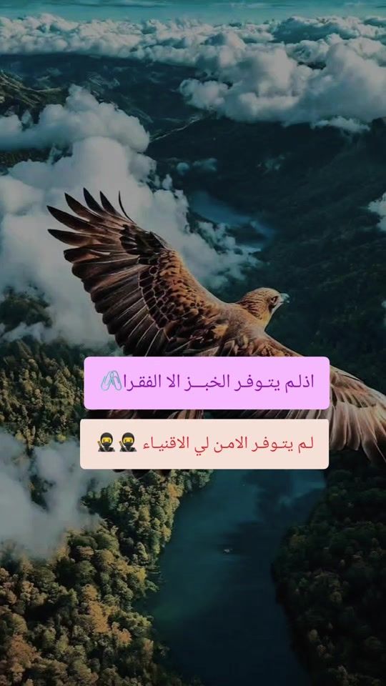 TikTok video thumbnail by ans61631vu5