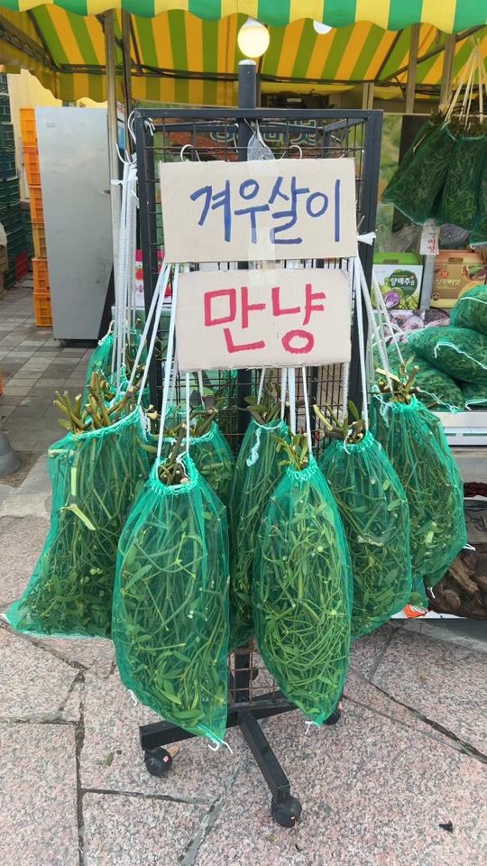 TikTok video thumbnail by user17833282068480