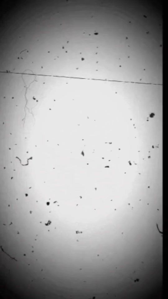 TikTok video thumbnail by divin_ish_