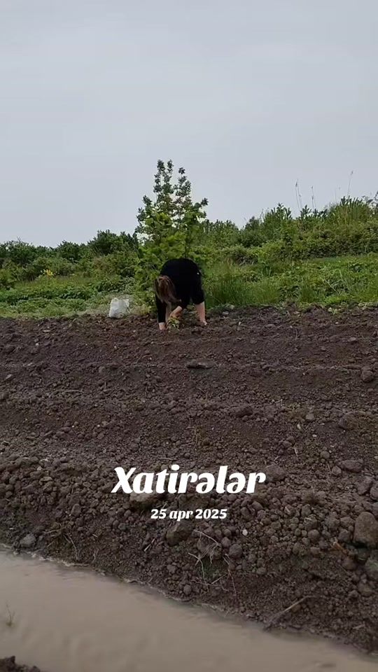 TikTok video thumbnail by my_darling_55