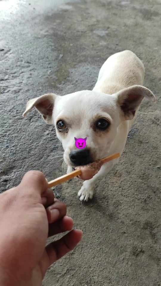 TikTok video thumbnail by elstiven.10