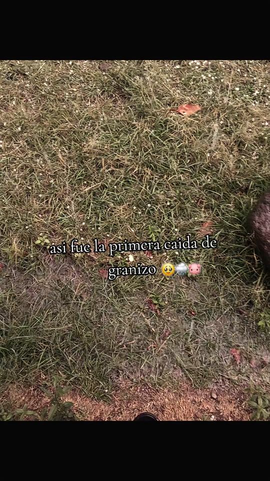 TikTok video thumbnail by ye_ssic4