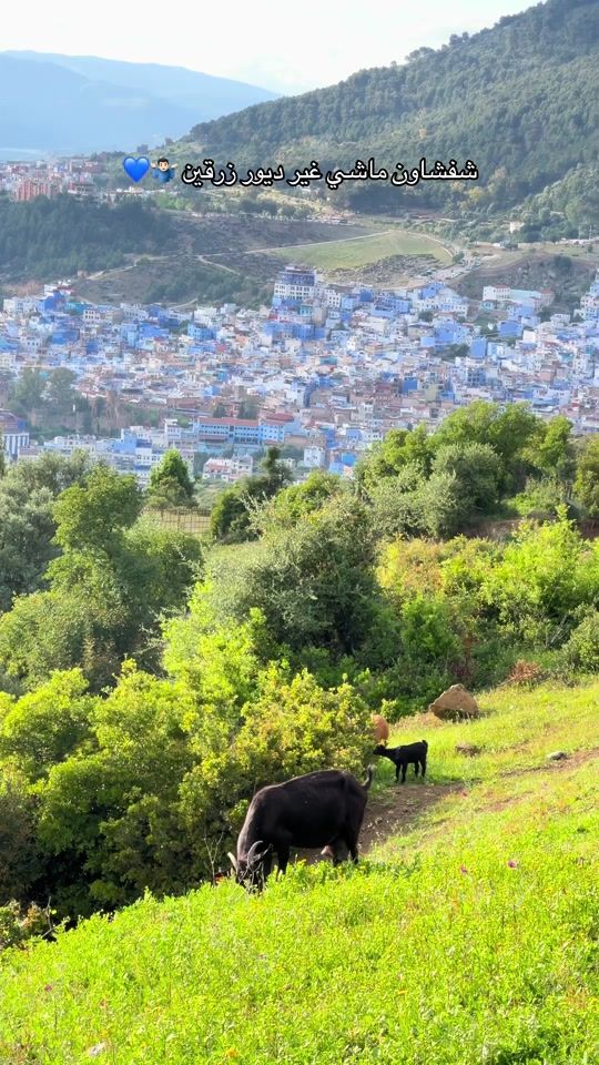 TikTok video thumbnail by be_in_chefchaouen