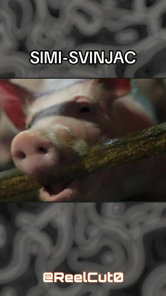 TikTok video thumbnail by reelcut0