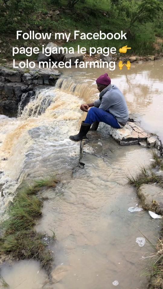 TikTok video thumbnail by lolomixedfarming