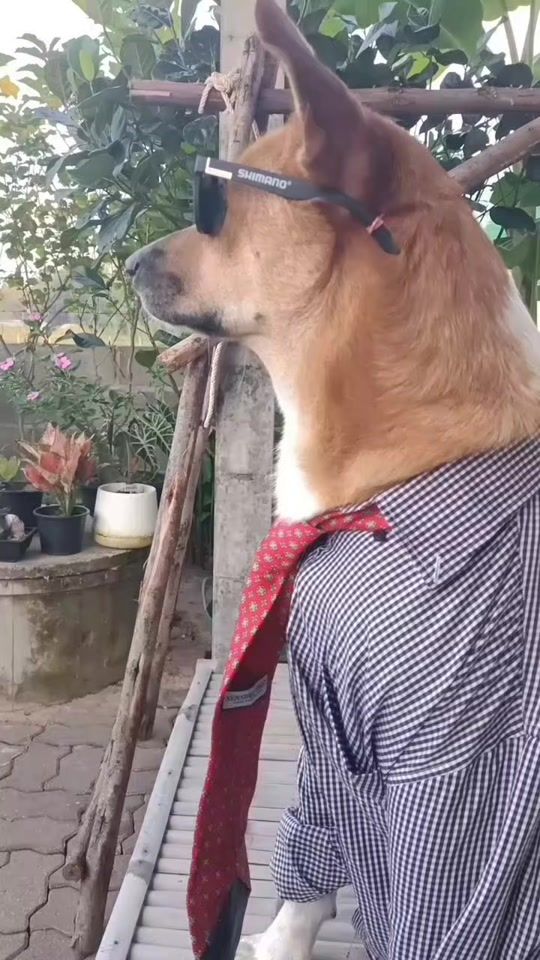 TikTok video thumbnail by i_am.j_sup