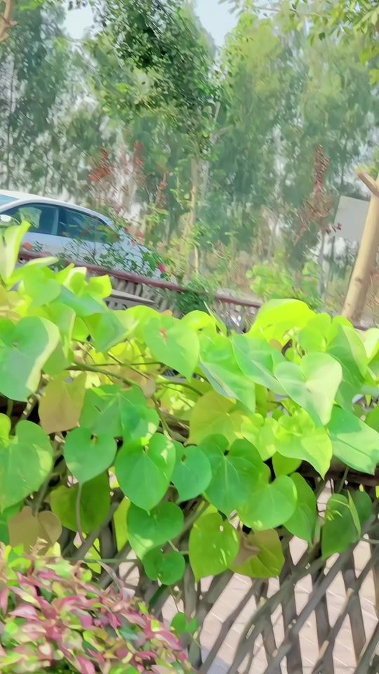 TikTok video thumbnail by malik_mudassir__7