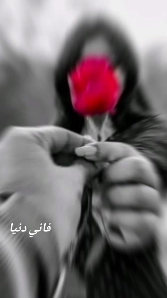 TikTok video thumbnail by fani.dounya