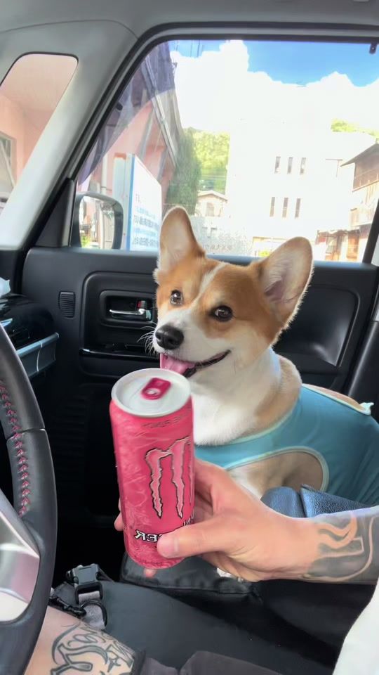TikTok video thumbnail by shun.siuba