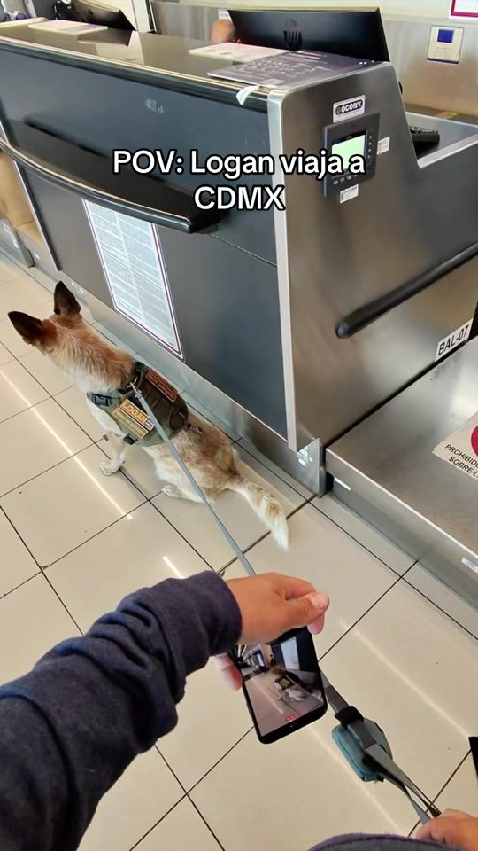 TikTok video thumbnail by loganylunacr
