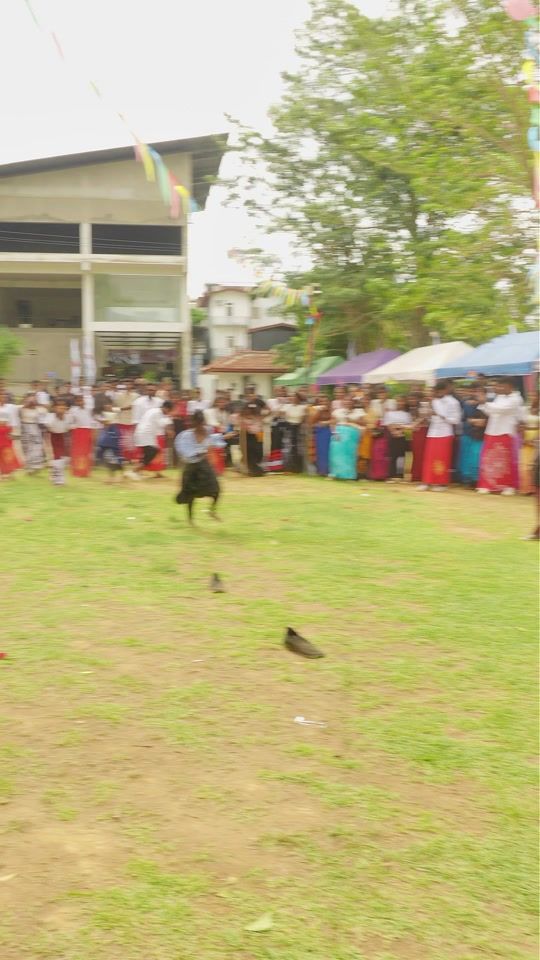 TikTok video thumbnail by sandaru_peiris