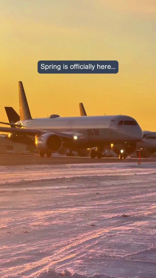 TikTok video thumbnail by porterairlines