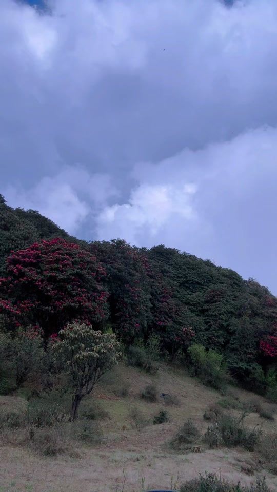 TikTok video thumbnail by thulungmandeera