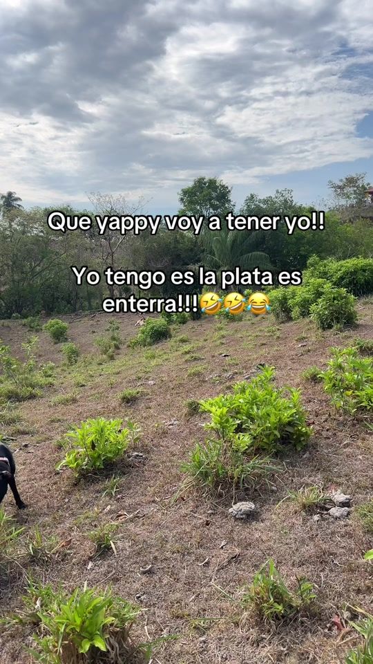 TikTok video thumbnail by ydcmg8