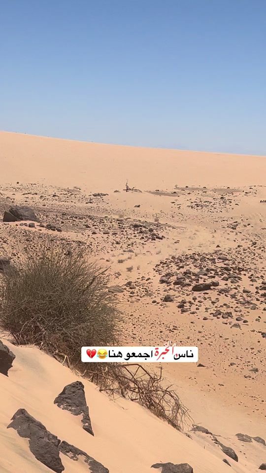 TikTok video thumbnail by ali_______616