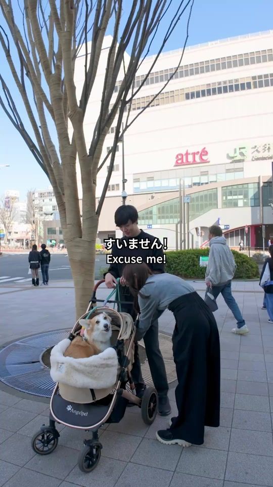 TikTok video thumbnail by yusa.film