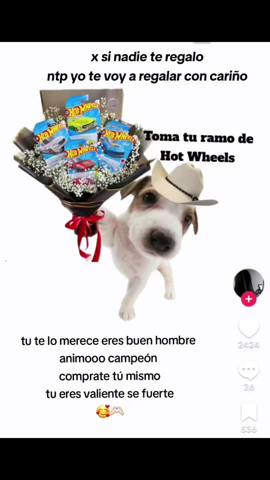 TikTok video thumbnail by mimundo406