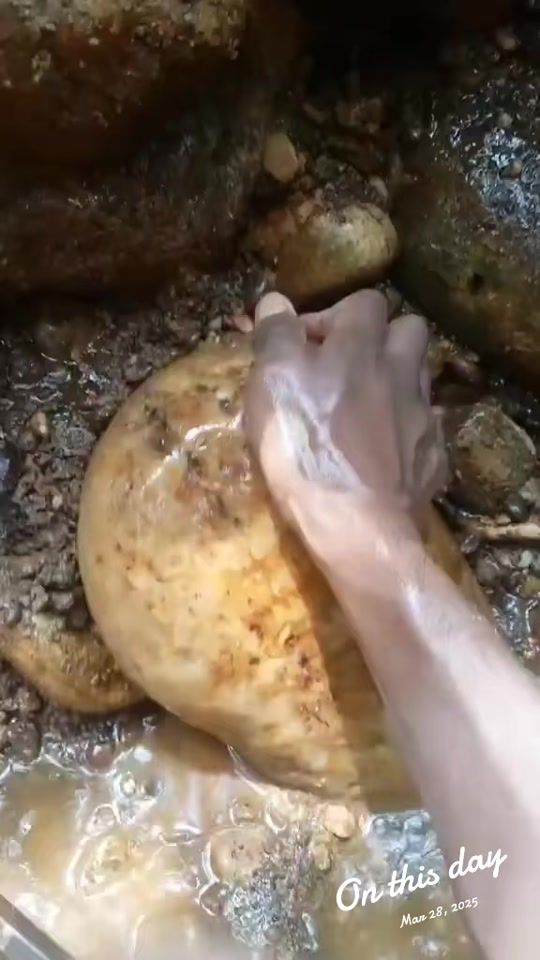 TikTok video thumbnail by jayamal9