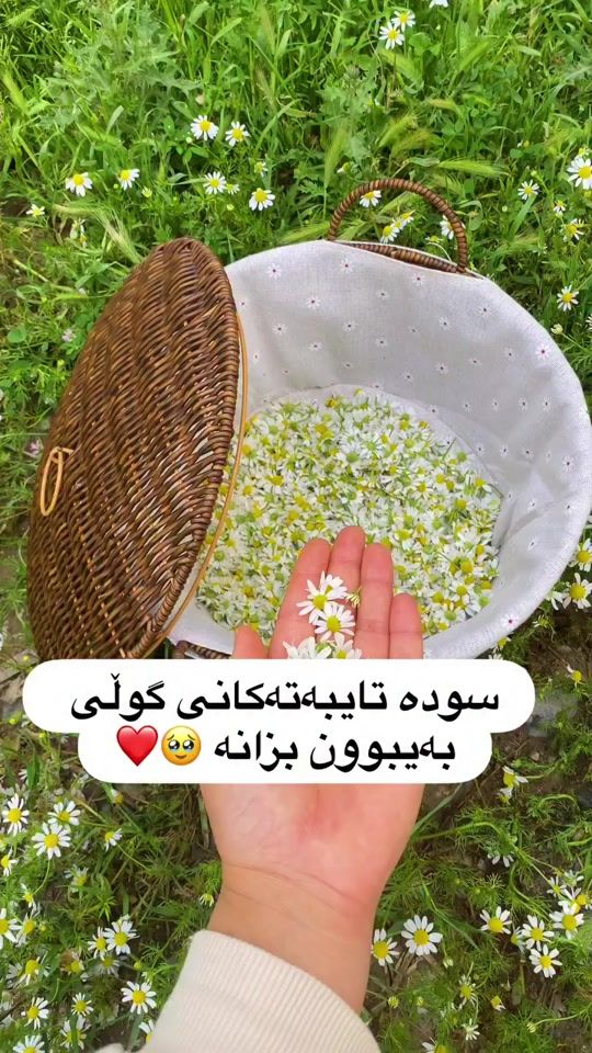 TikTok video thumbnail by sha_gull_1