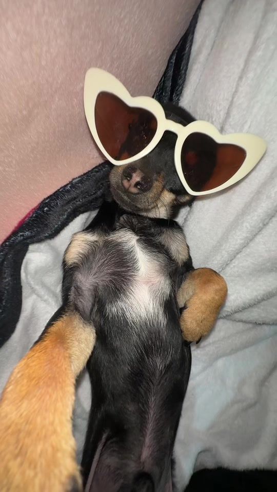 TikTok video thumbnail by rosyyy_ash