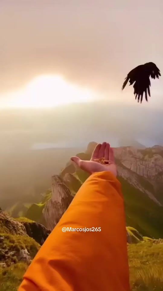 TikTok video thumbnail by marcosjos265