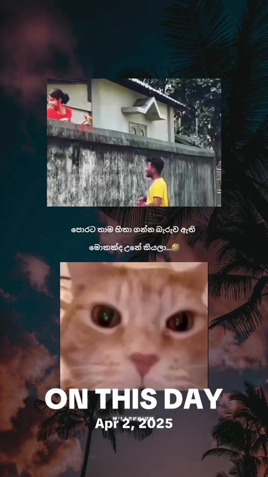 TikTok video thumbnail by m_i_l_l_e_n_n_i_u_m