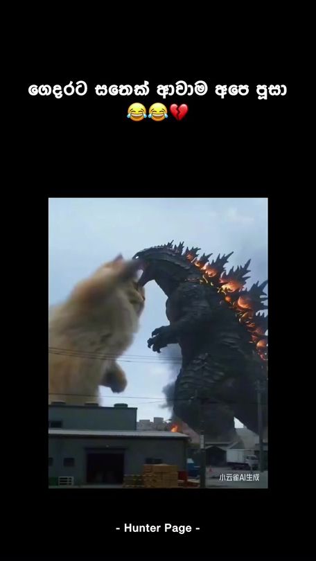 TikTok video thumbnail by hunter_page1
