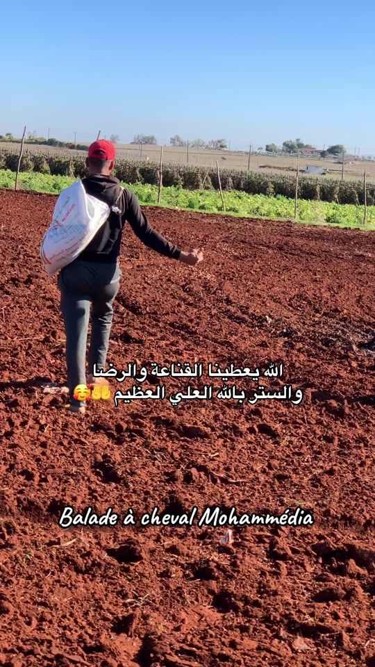 TikTok video thumbnail by azouz.hajji
