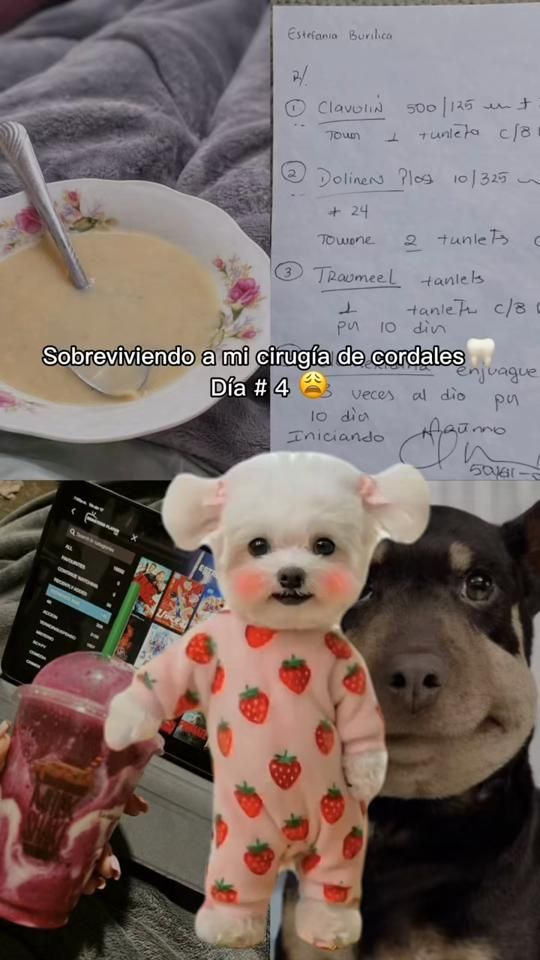 TikTok video thumbnail by estefaburii