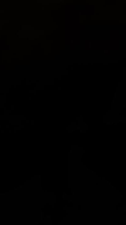 TikTok video thumbnail by leonardiian