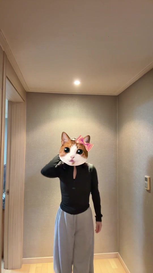 TikTok video thumbnail by dkssud.kr