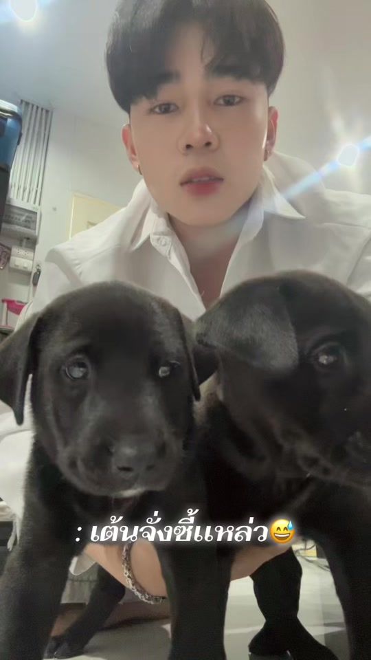 TikTok video thumbnail by tanit_649