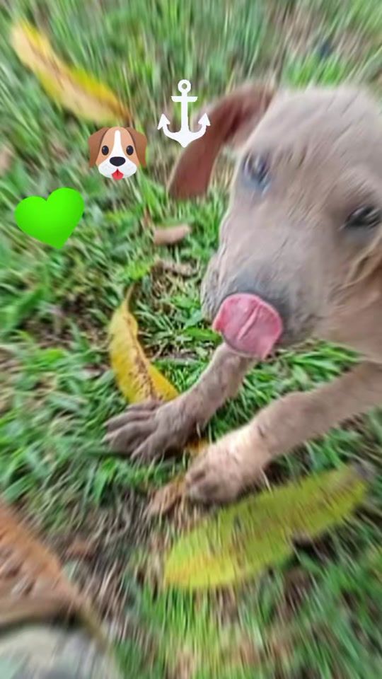 TikTok video thumbnail by celineshane99