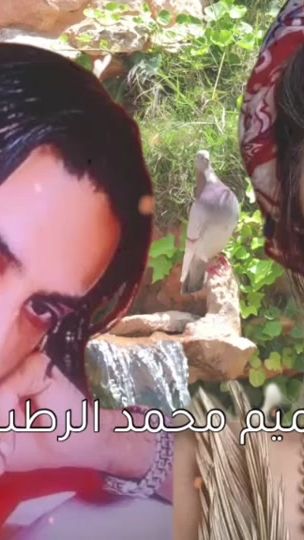 TikTok video thumbnail by user6455097267394