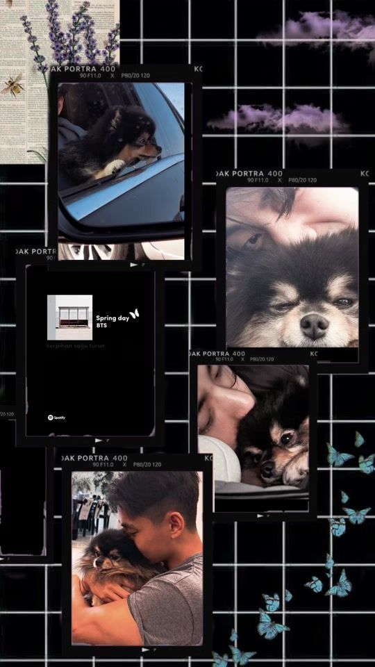 TikTok video thumbnail by t_k0re