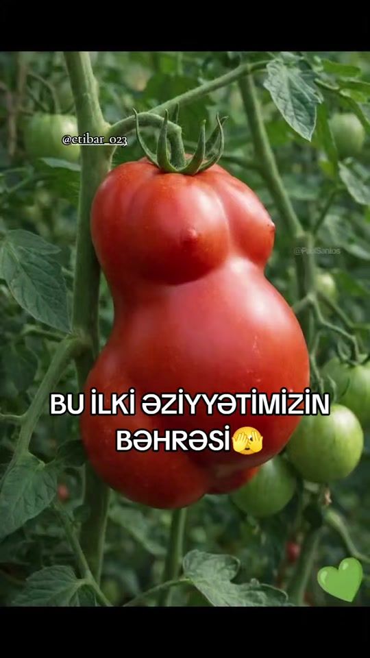 TikTok video thumbnail by etibar_.__023