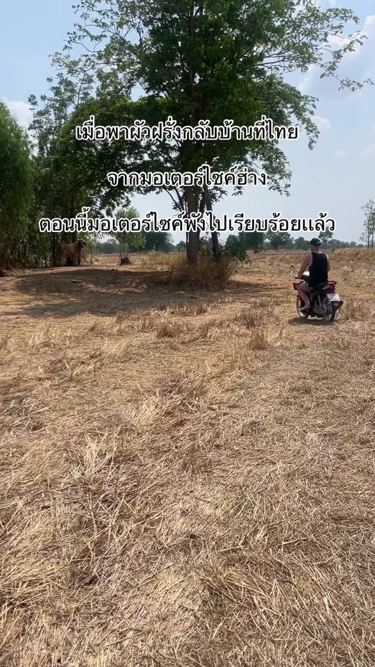 TikTok video thumbnail by tam_noiii31