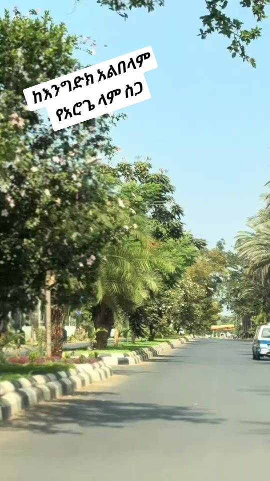 TikTok video thumbnail by mitayeadnan03