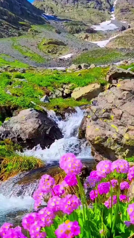 TikTok video thumbnail by pasur.tv