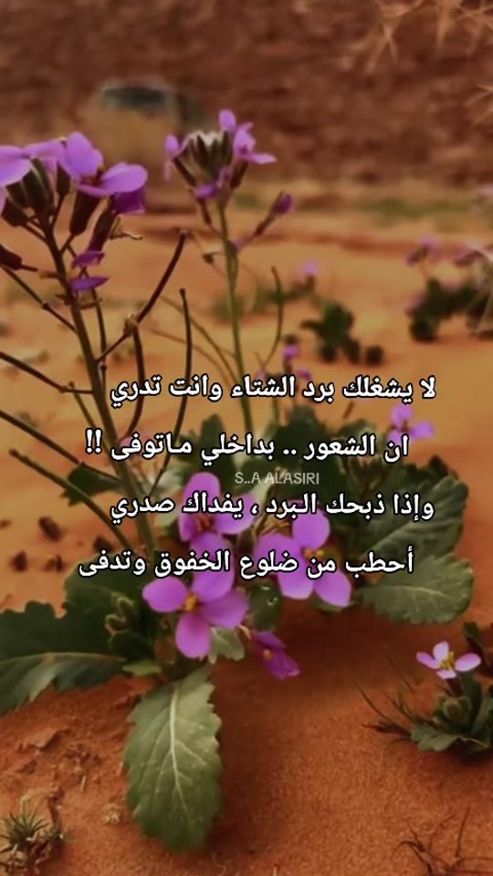 TikTok video thumbnail by s_a_alasiri
