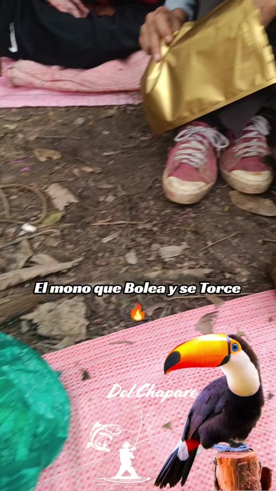 TikTok video thumbnail by del_chapare