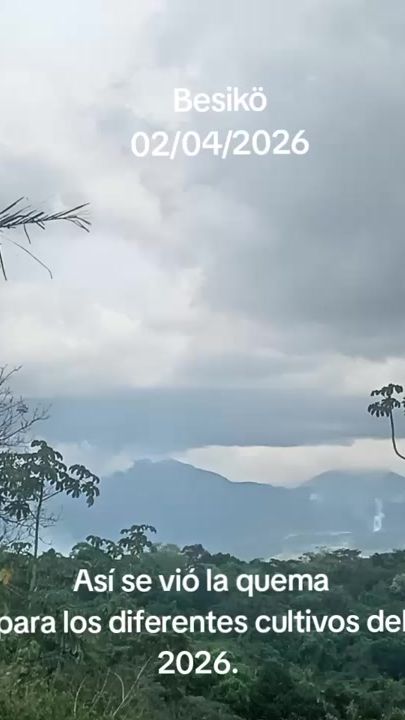 TikTok video thumbnail by anibalcubilla2