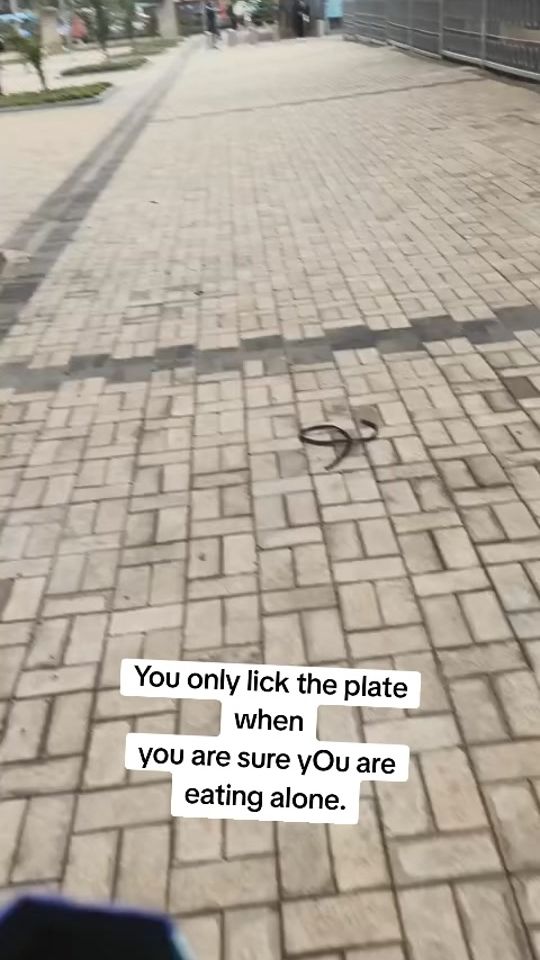 TikTok video thumbnail by lisamula.anami