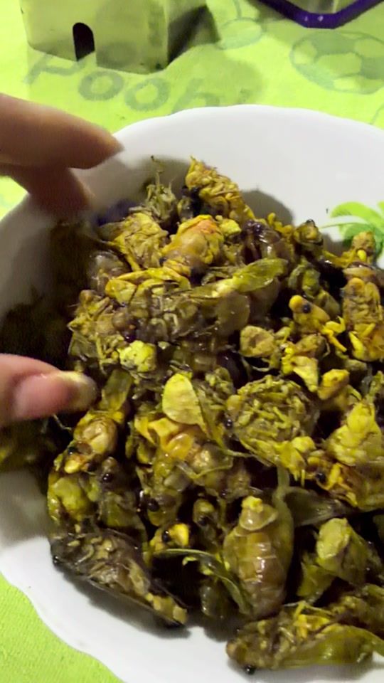 TikTok video thumbnail by khamsar2