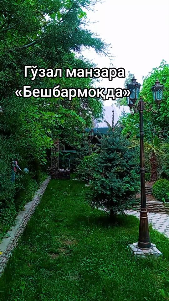 TikTok video thumbnail by hulkarxon.akparov