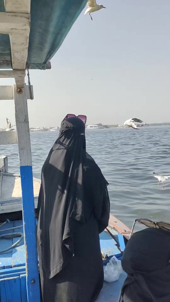 TikTok video thumbnail by zeenatqureshi08