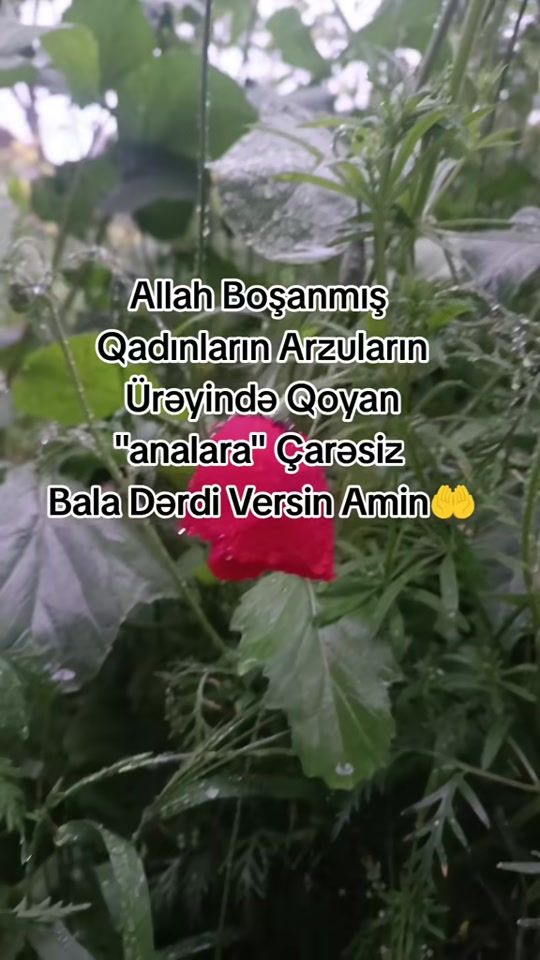 TikTok video thumbnail by _kenan_333_