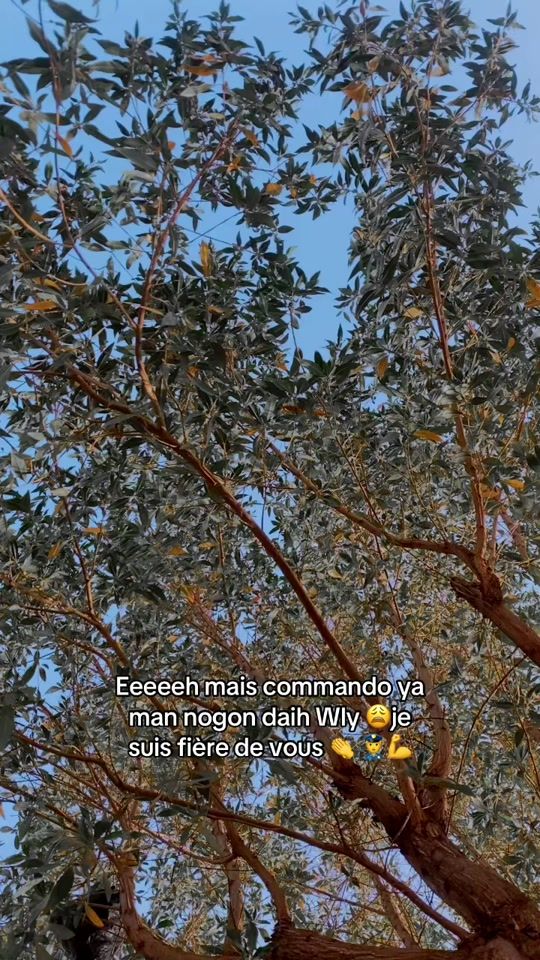 TikTok video thumbnail by timfa.wesh46