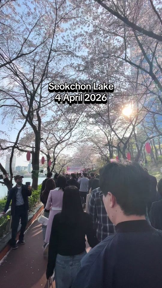 TikTok video thumbnail by hafidaismail