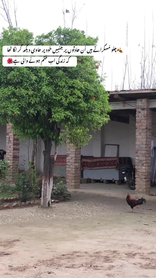 TikTok video thumbnail by oyehamzamaaz